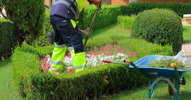 Landscaper cleaning flower beds