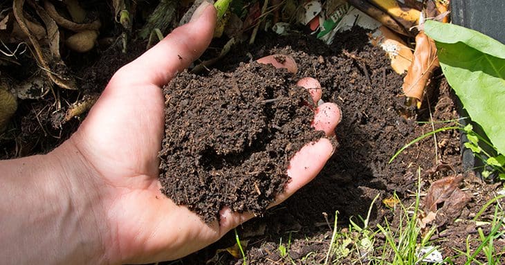 man 's hand holding compost