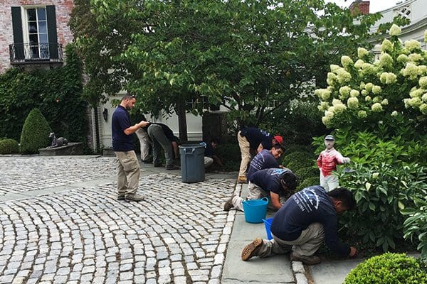 600x400-plant-health-care-services4