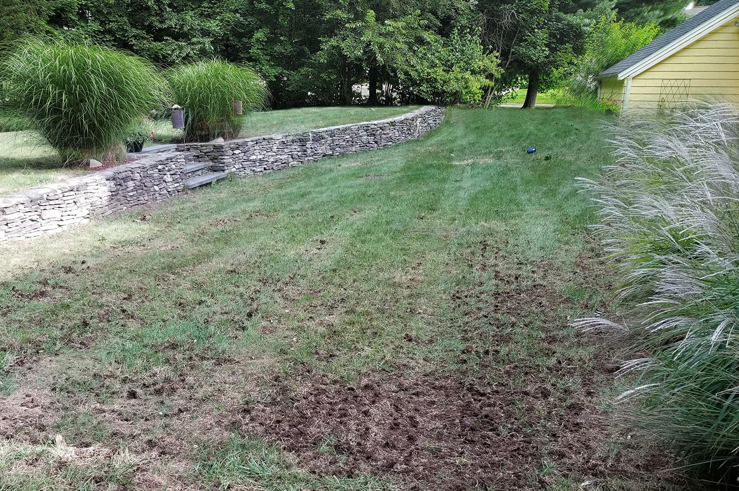 BEFORE>
