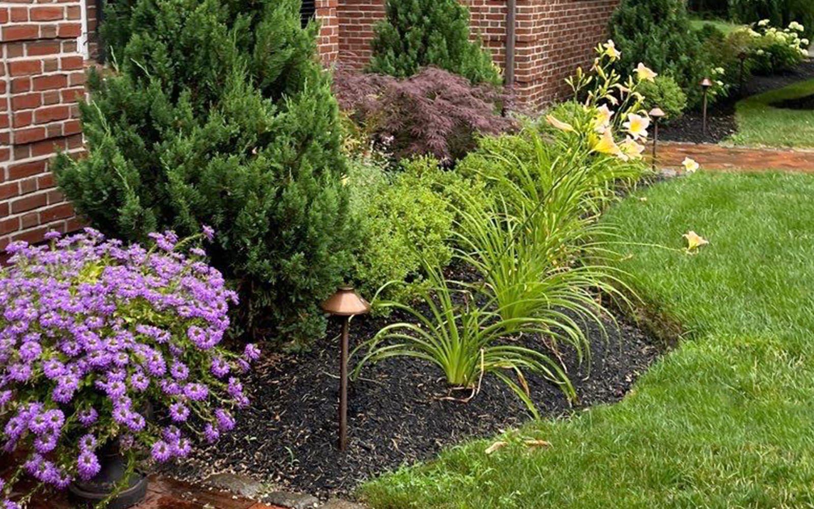 front garden