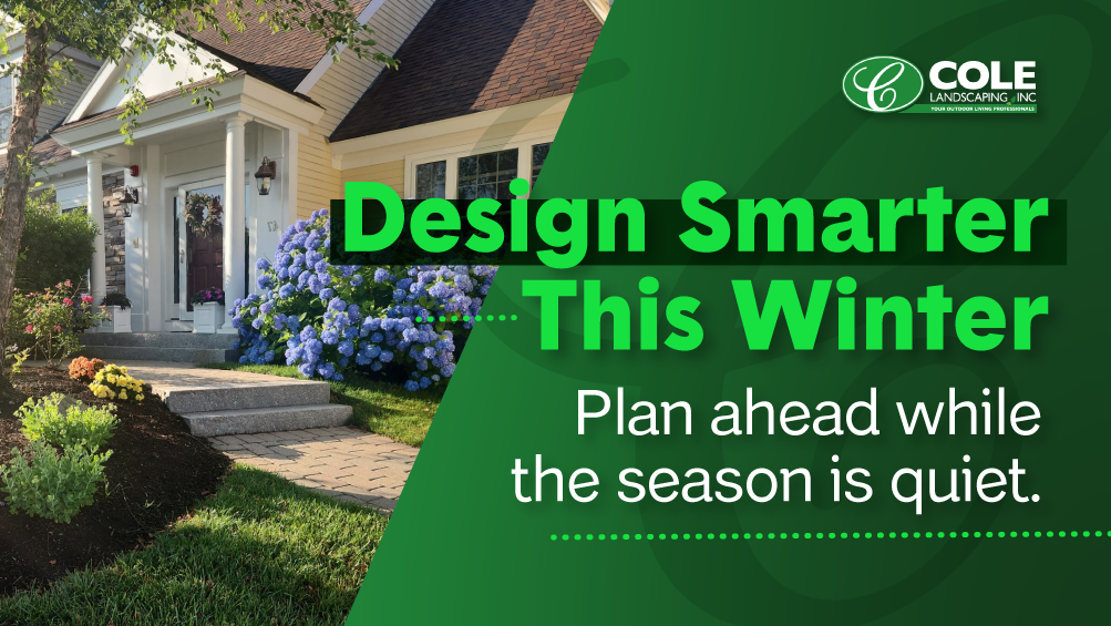 What Winter Reveals About Landscape Design