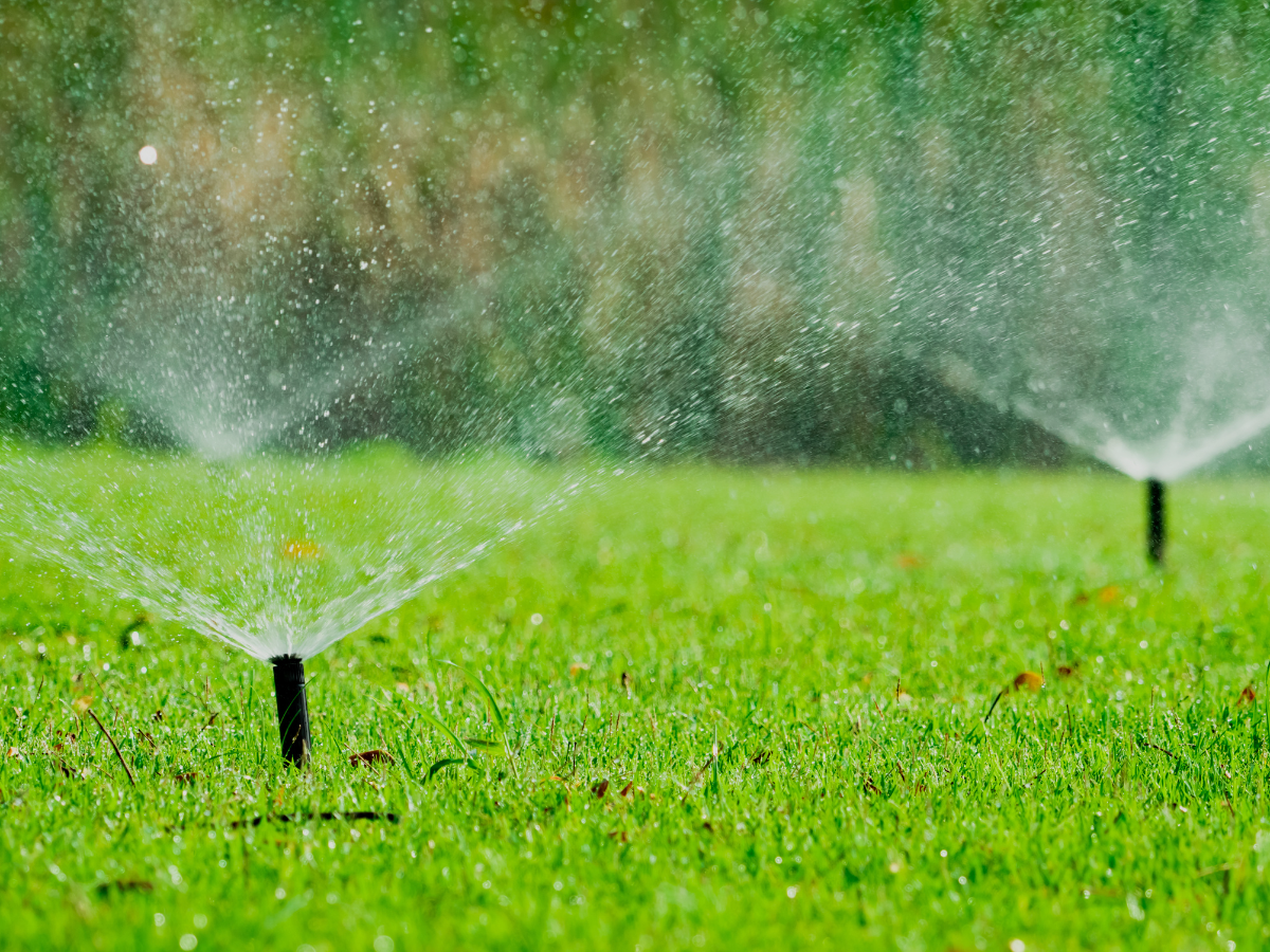 Sprinkler running over a fall lawn — irrigation winterization service