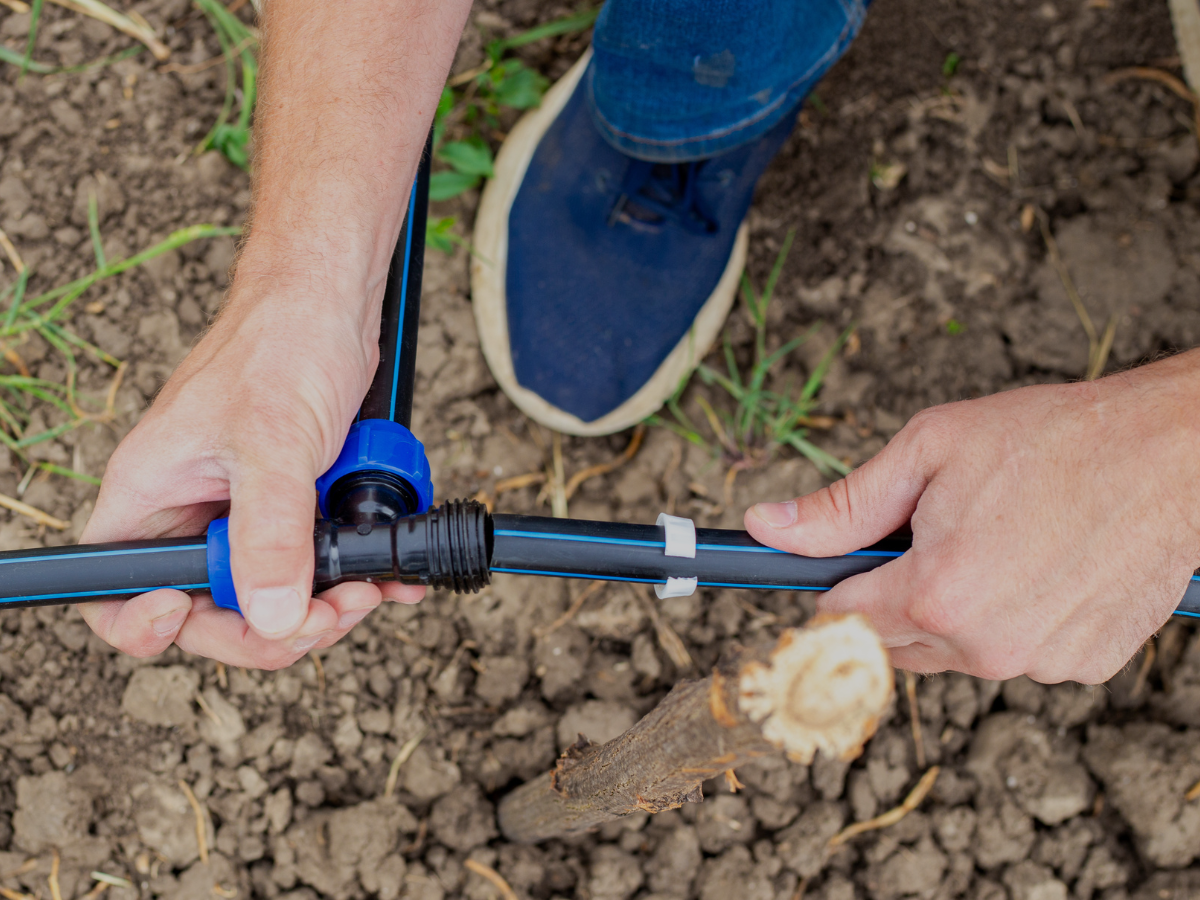 Cole Landscaping irrigation maintenance and service