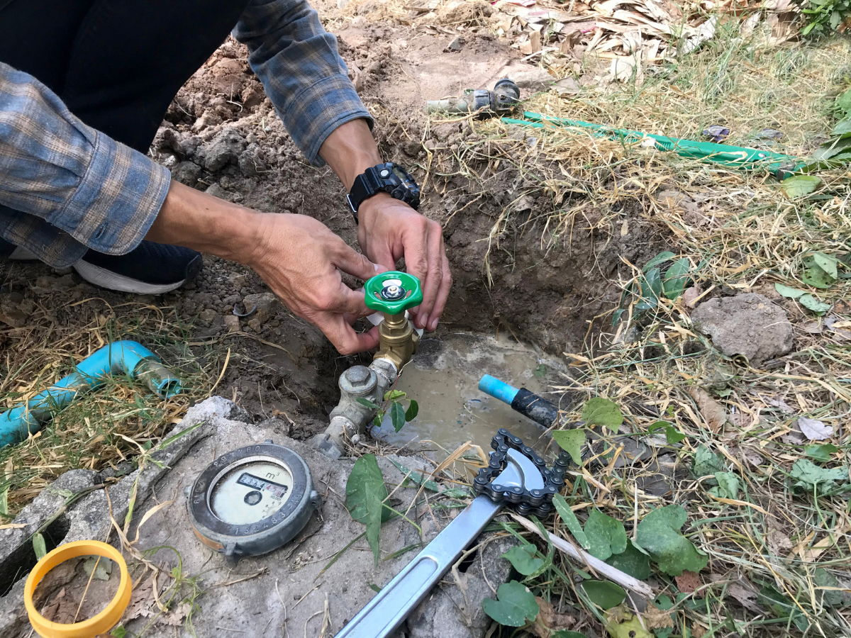Cole Landscaping client property — healthy lawn and gardens