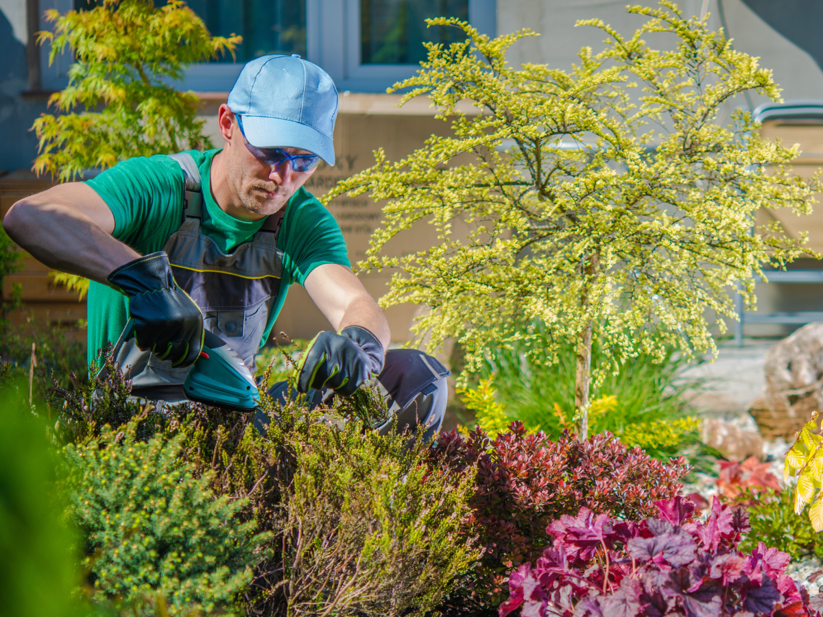 Cole Landscaping spring cleanup service on a North Shore property