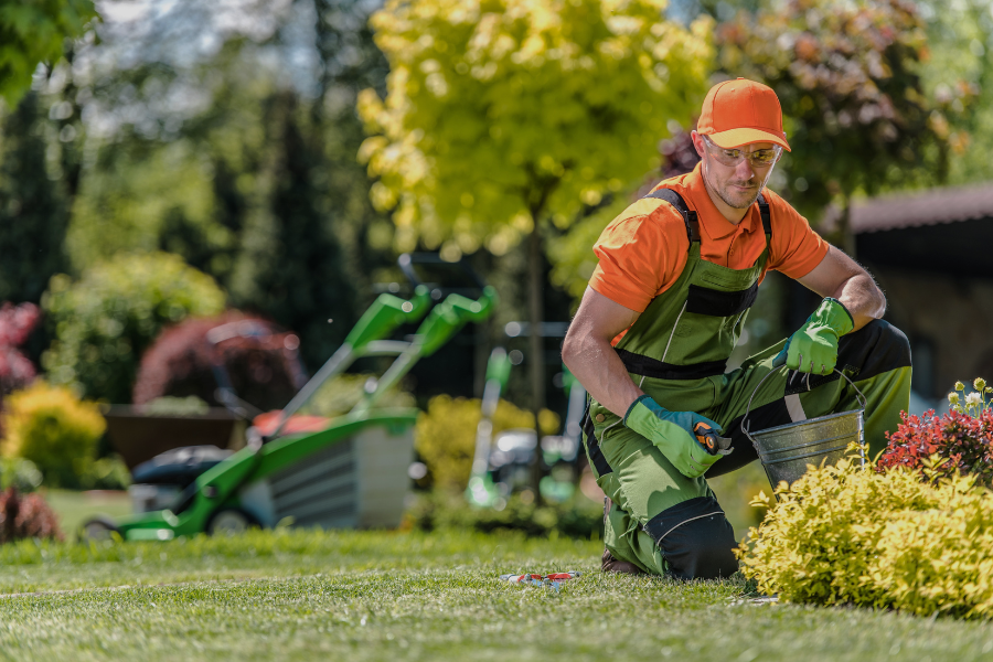 Cole Landscaping client property in the Andover Massachusetts area
