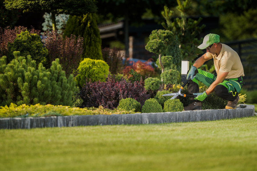 Mature Cole Landscaping client property in full season