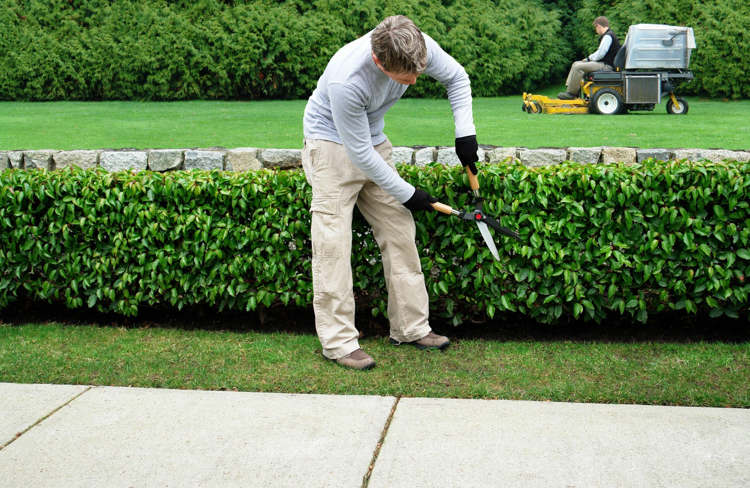 Cole Landscaping crew working on an Andover MA property