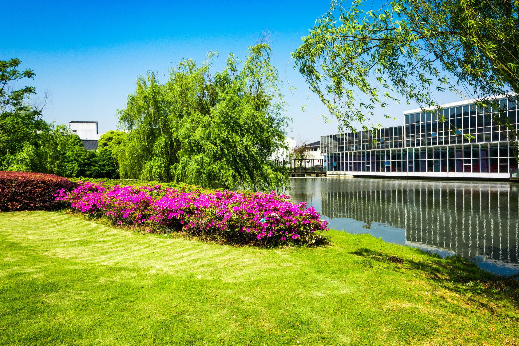 Professionally maintained commercial property grounds and landscaping on the North Shore of Massachusetts by Cole Landscaping