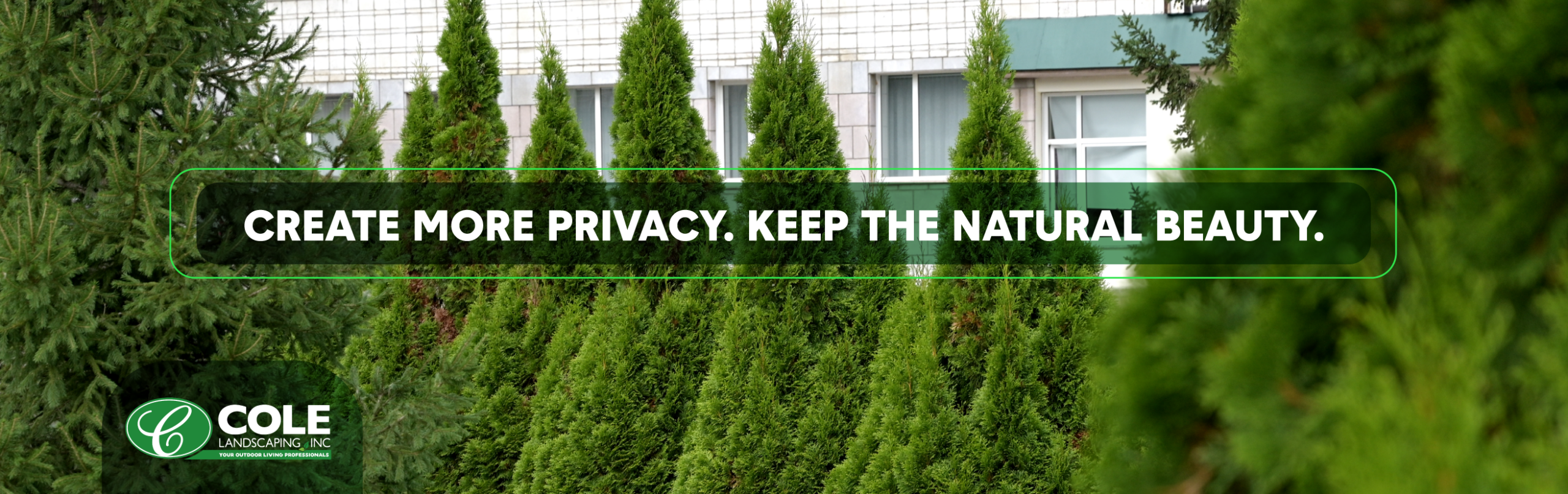 Cole Landscaping privacy landscaping ideas for North Shore backyards